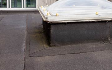 disadvantages of Rhiwderin flat roofs