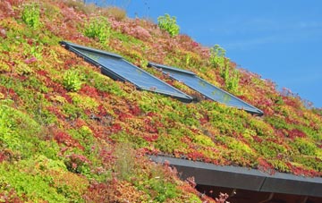 Rhiwderin living roof systems